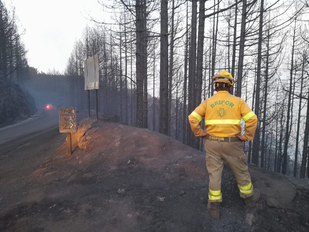 Incendio-Trabajos Brifor (2)