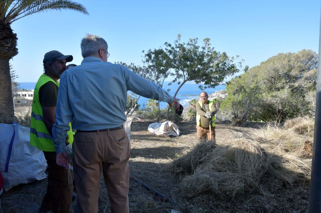 PLAN_DE_EMPLEO_RESTAURACIÓN_Y_MEJORA_AMBIENTAL_-_FORESTA18