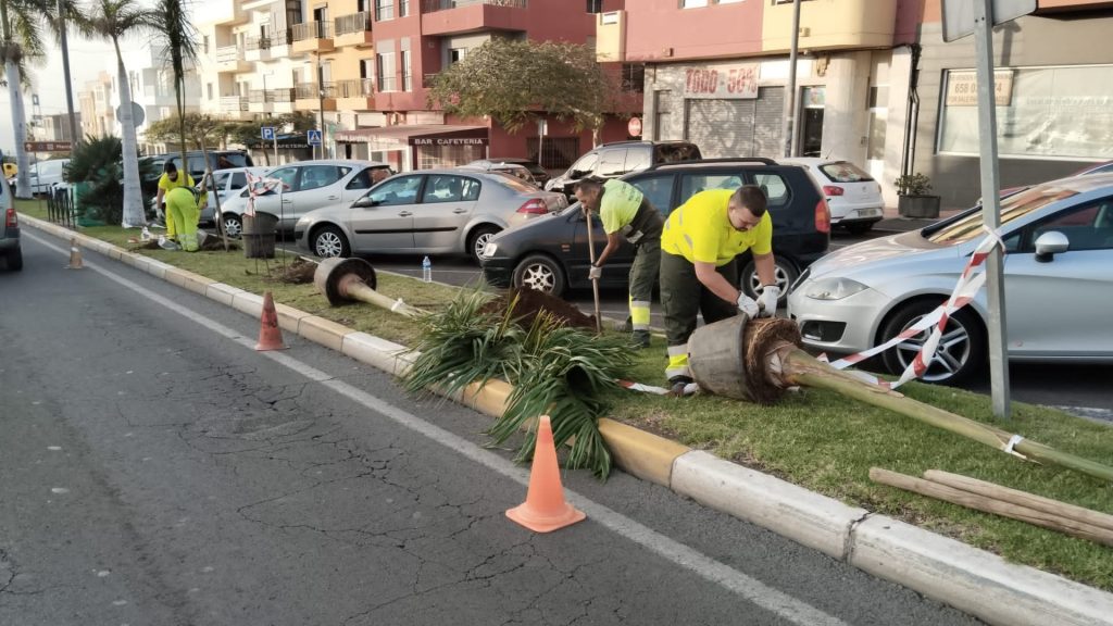 Trabajo en la Avenida Santa Cruz (San Isidro)