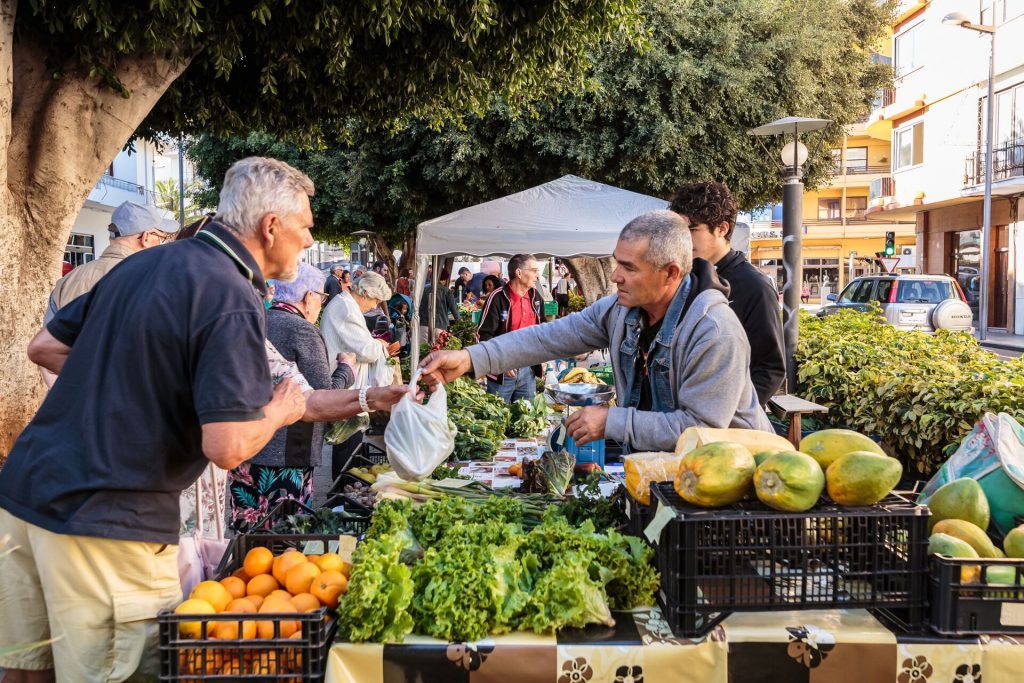 Mercadillo-Agricultor-Los-Llanos