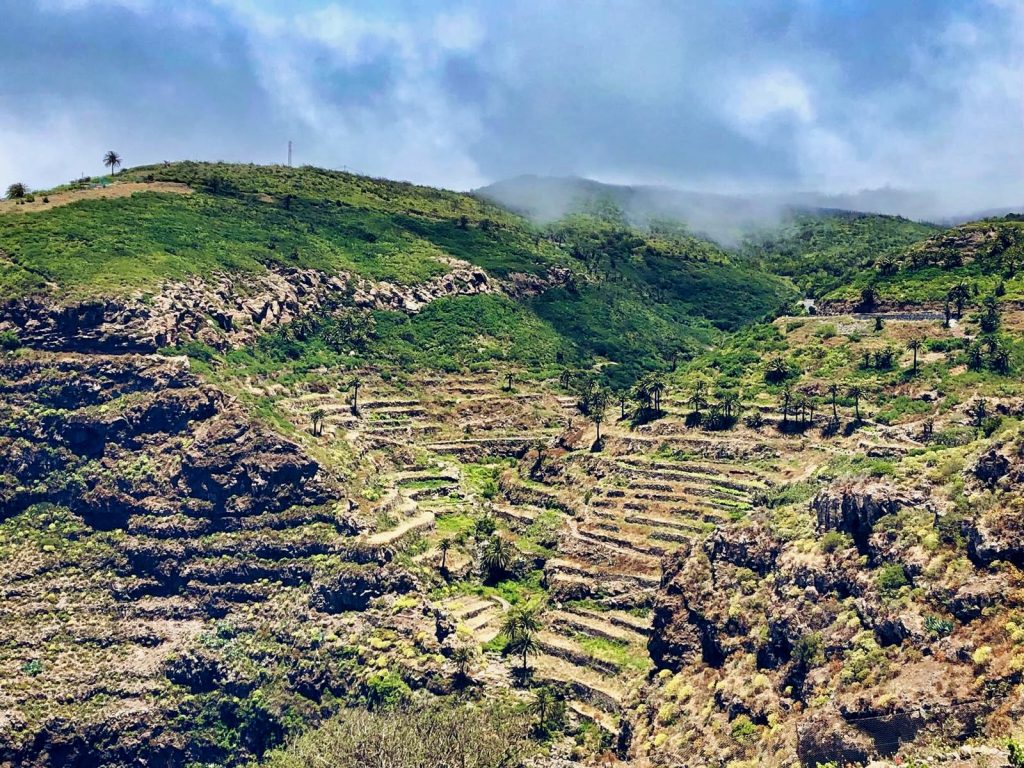 290524 Bancales en la isla de La Gomera