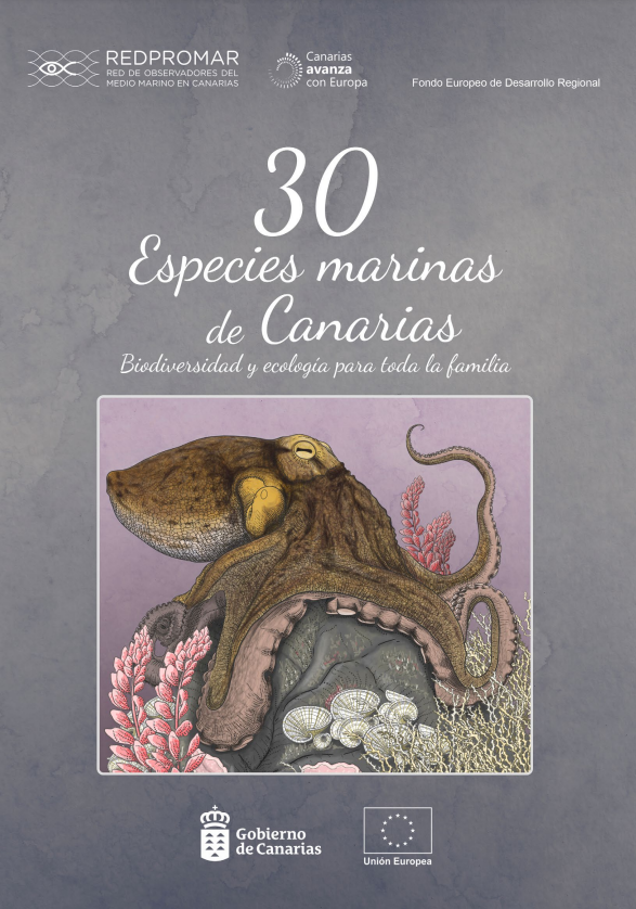 30 Especies marinas de Canarias 2