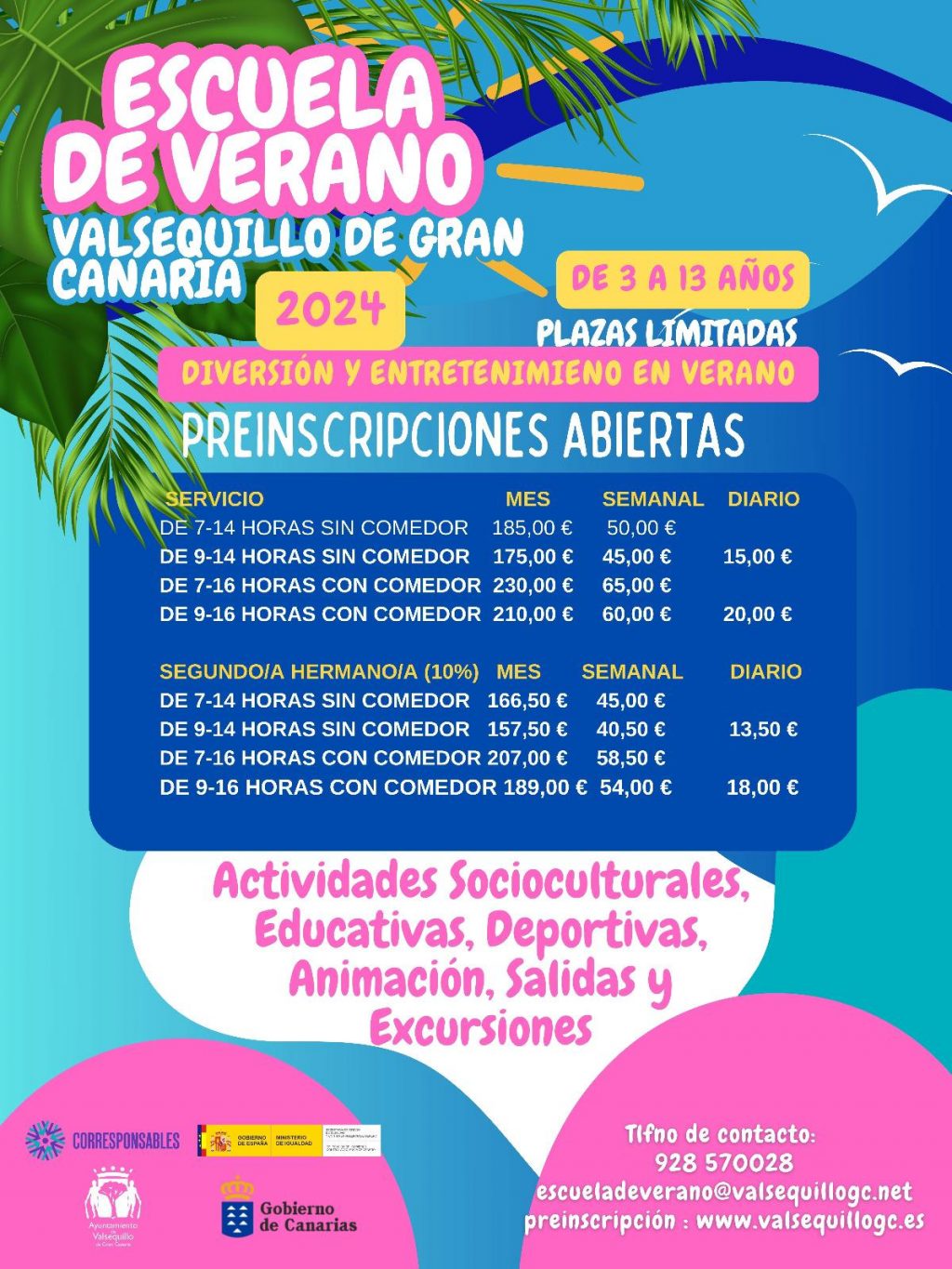 CARTEL ESCUELA DE VERANO