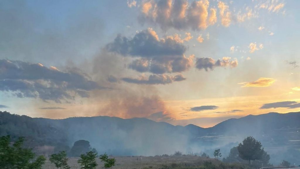 Declarado un incendio forestal en Aielo de Malferit (Valencia)