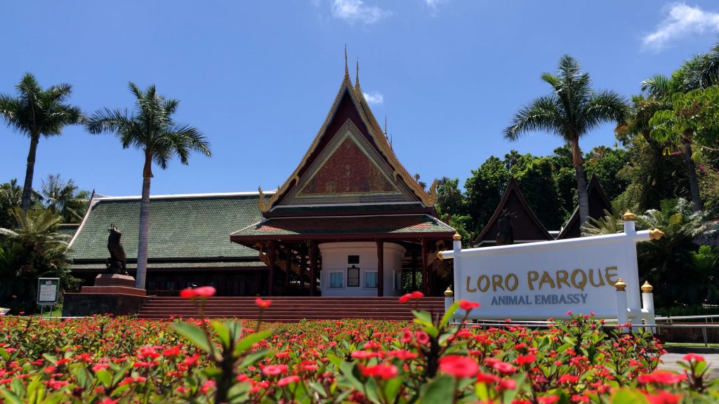 Entrada Loro Parque