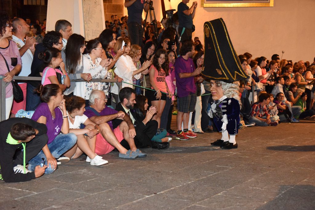 Foto Enano de la Bajada de la Virgen