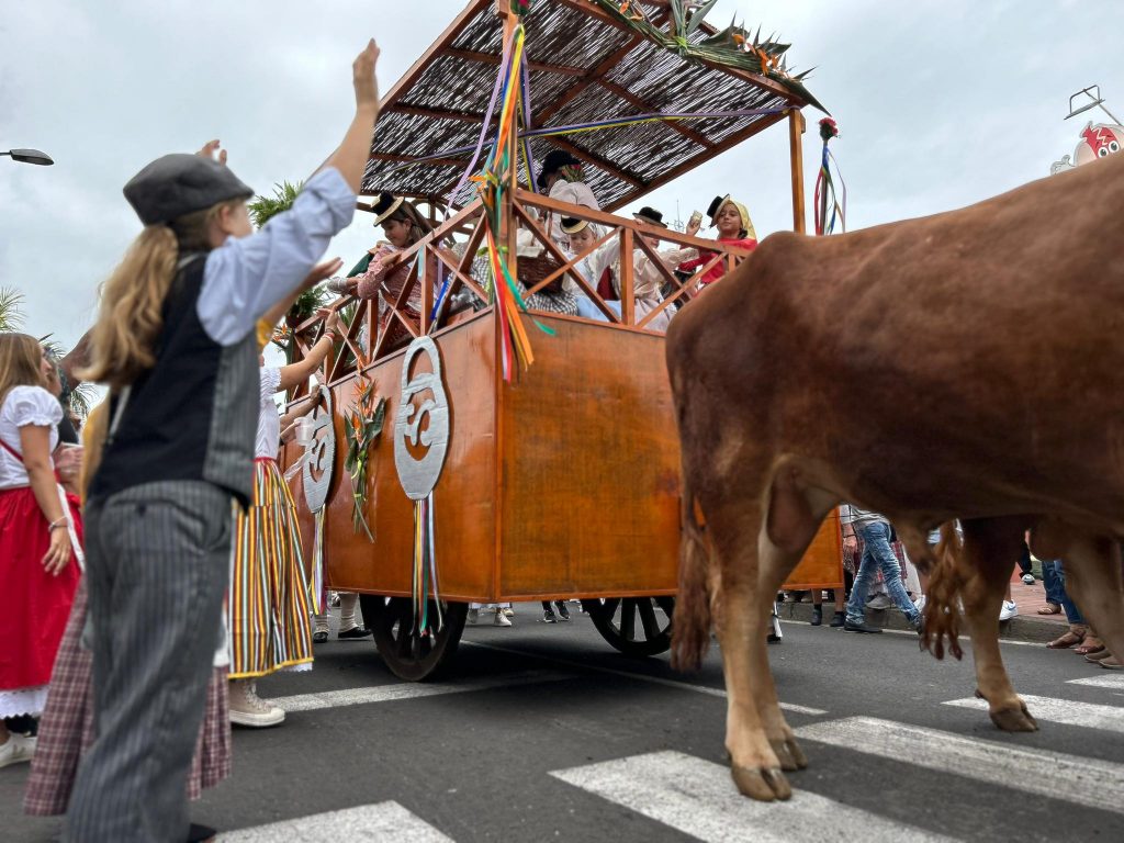 Romería de Valle de Guerra_2