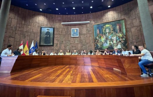 120624 Foto de archivo de una sesión plenaria del Cabildo de La Gomera