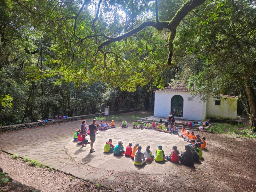 250624 Jóvenes campistas durante el primer día de convivencia en el Campamento de Verano de El Cedro, en La Gomera