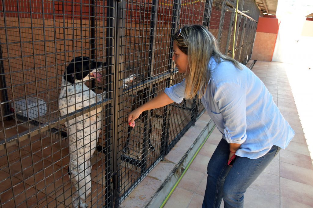 ARACELI ARMAS - PERRERA MUNICIPAL DE SAN BARTOLOMÉ DE TIRAJANA25