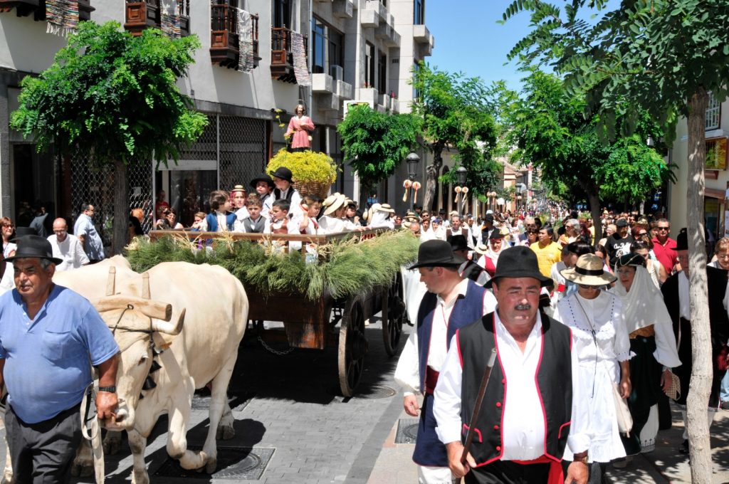 Carros romería