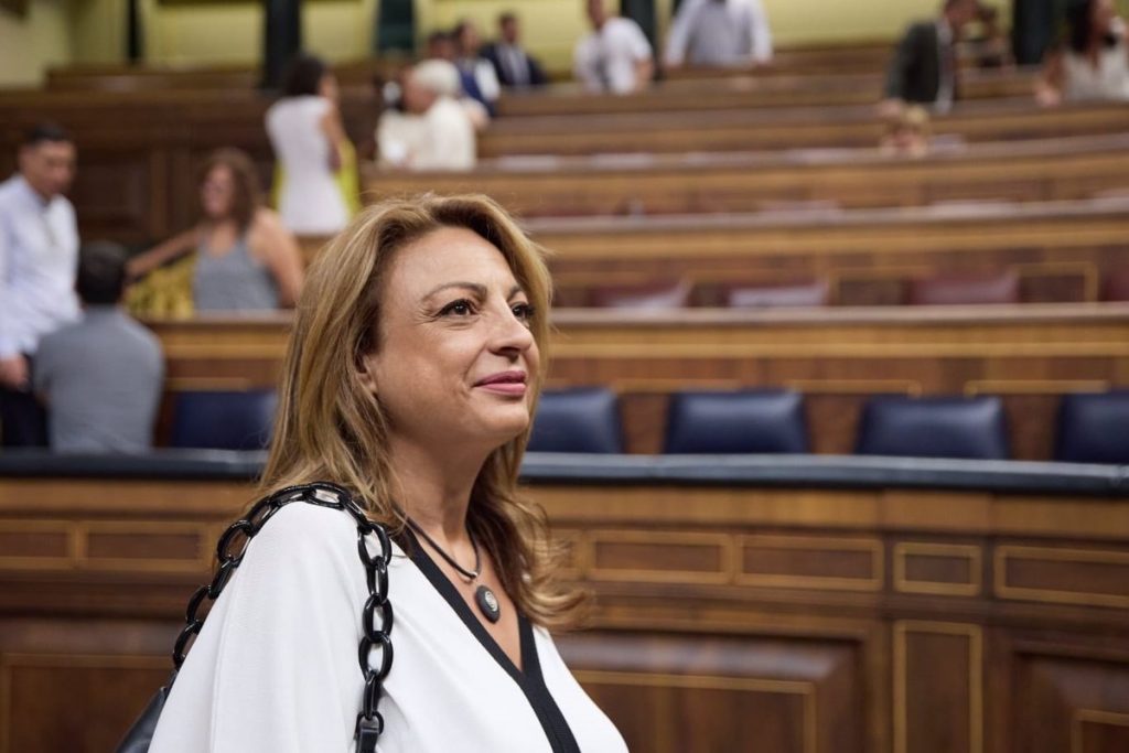 Cristina Valido - Congreso