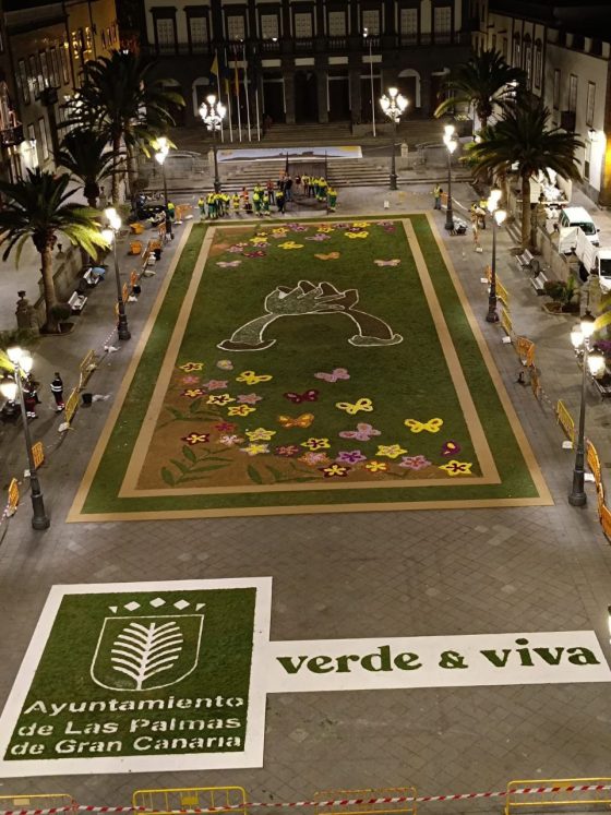 FOTONOTICIA El Ayuntamiento colabora con la celebración del Corpus elaborando una alfombra de flores de mil metros cuadrados (2)