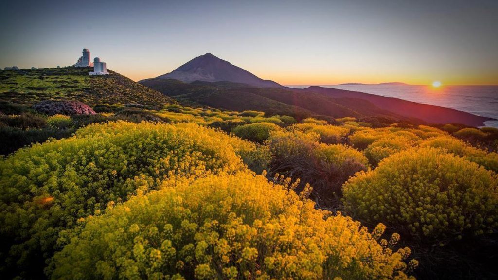 Récord histórico de concentración atmosférica de CO2 en la estación de Izaña (Tenerife)