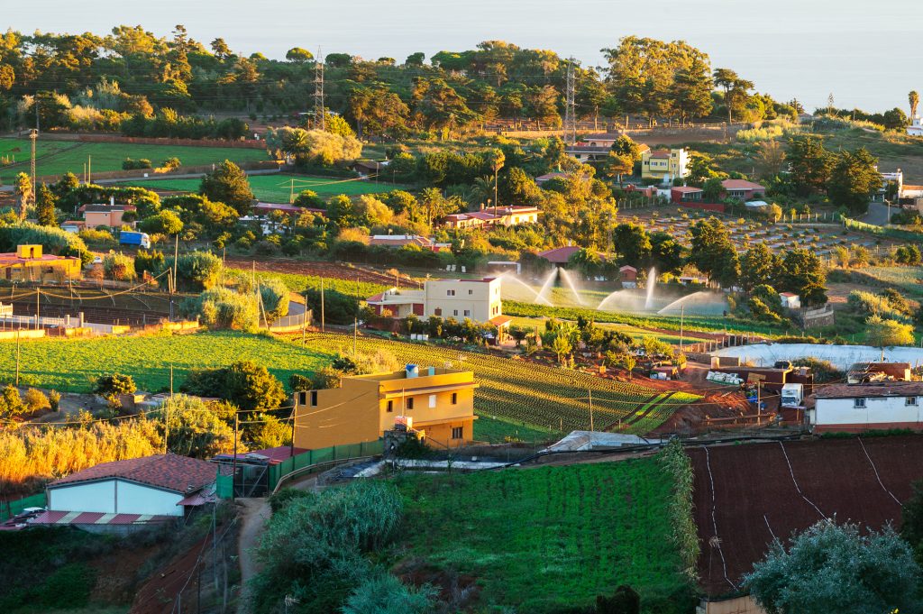 Zona agrícola de las medianías