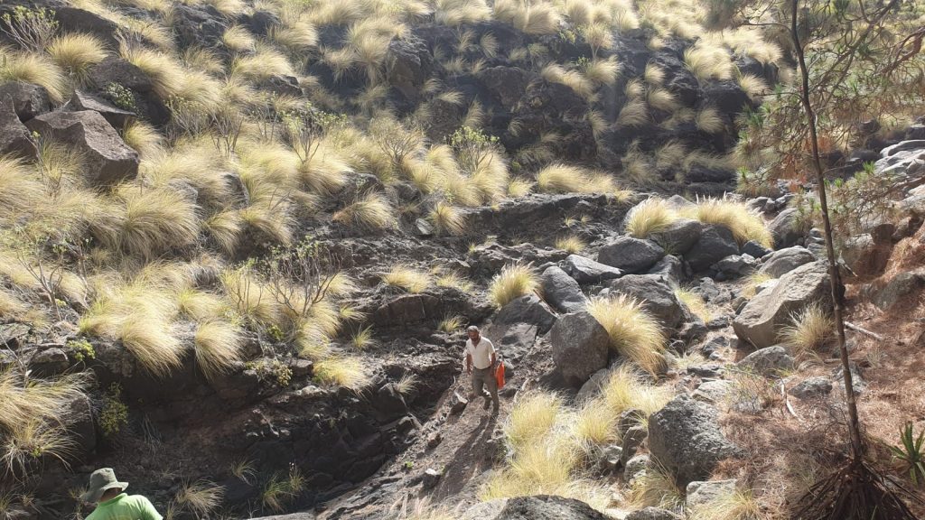 Zona de actuación en el Barranco de Majona