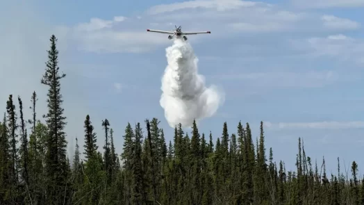 incendios forestales