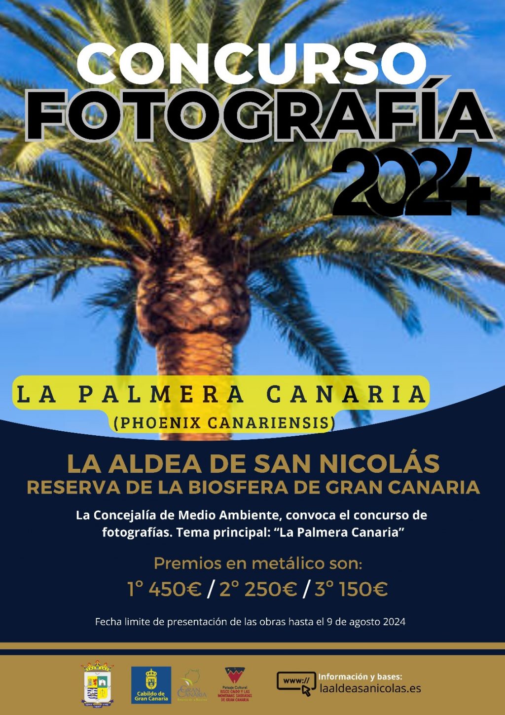 Concurso Fotografiìa Palmeras