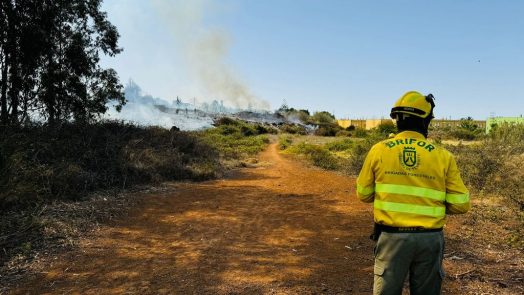 Controlado incendio en Icod de los Vinos, el cuarto en Tenerife desde el domingo