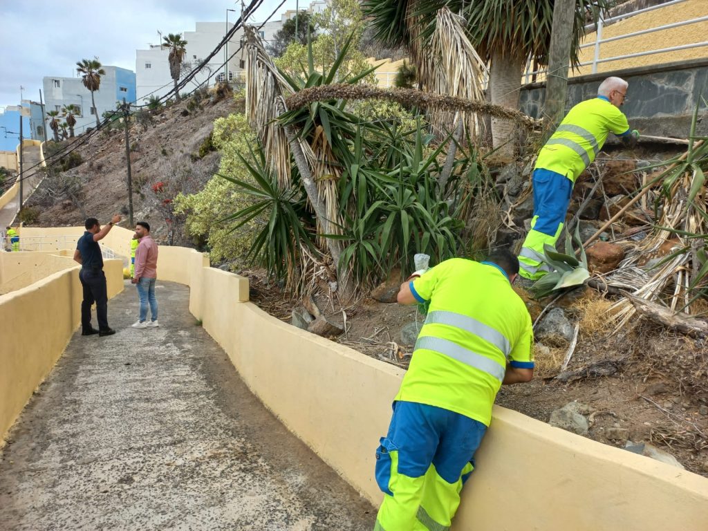 El Jefe del Servicio de Limpieza, Alejandro Olarte, y el concejal de Limpieza, Héctor Alemán, supervisan los trabajos de la II Fase del Plan de Higiene Urbana