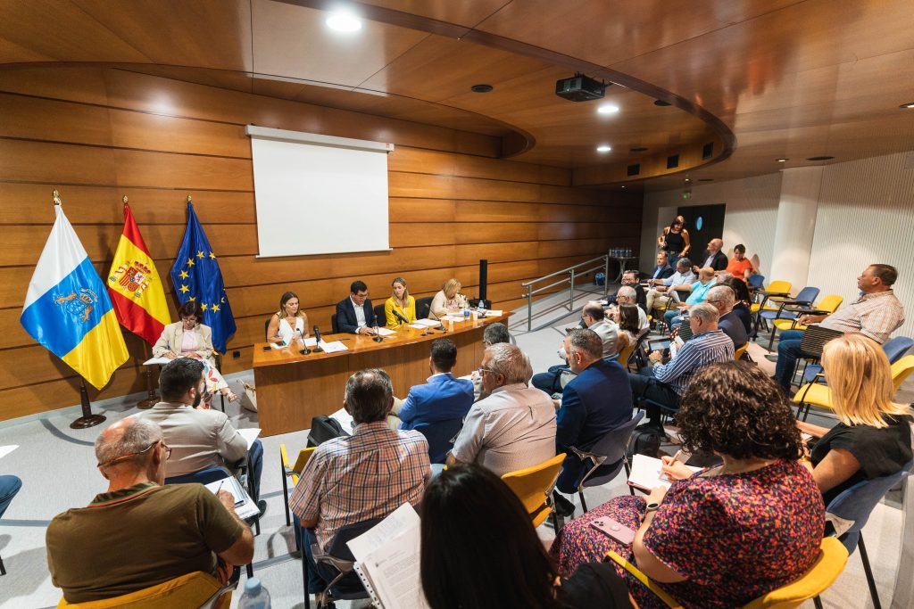 El Pleno de la Mesa del Transporte Terrestre insta al Estado a asumir el coste íntegro de la gratuidad de las guaguas