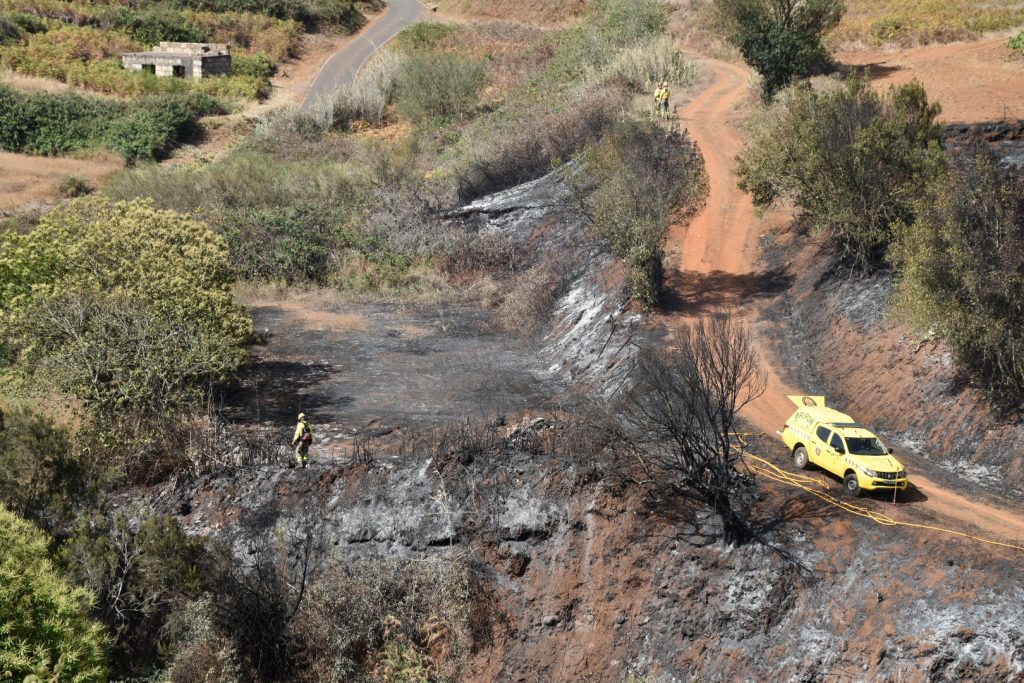 Investigación incendios El Rosario (1)