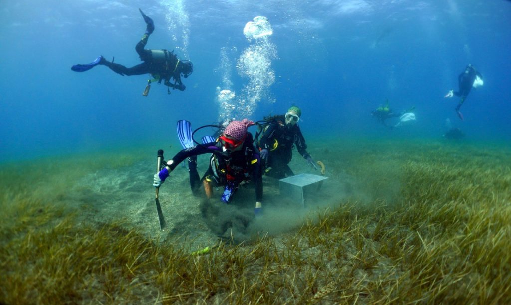 Los_jardineros_del_mar_1