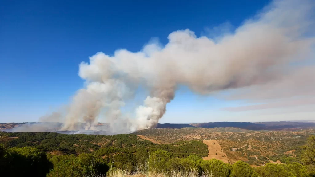 incendio-forestal-en-el-campo-de-tiro-de-la-base-militar-de-cerro-muriano-cordoba