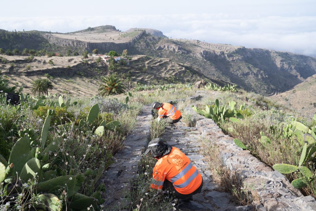 060824 Trabajos de mejora paisajística y medioambiental en La Gomera