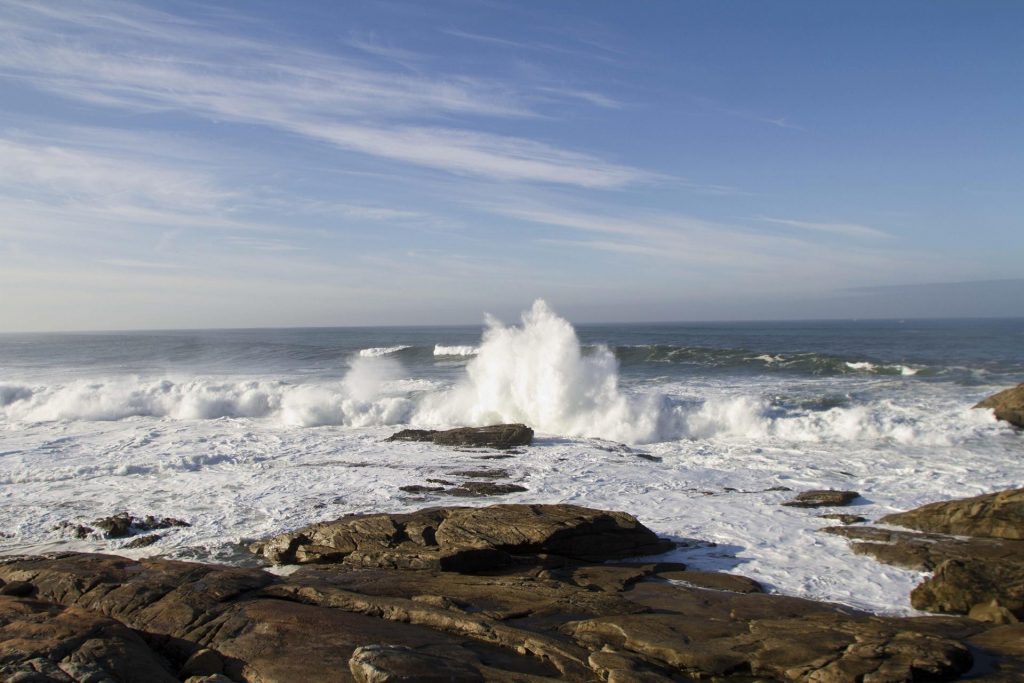 Apuntan que las olas de calor marinas son "punta del iceberg" de la degradación oceánica