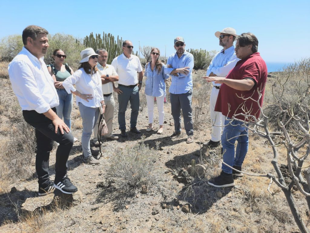 Bajada del Socorro-Güímar