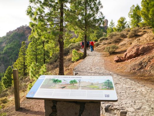 Denuncian que turistas transitan sendero al Roque Nublo pese a la prohibición por el calor