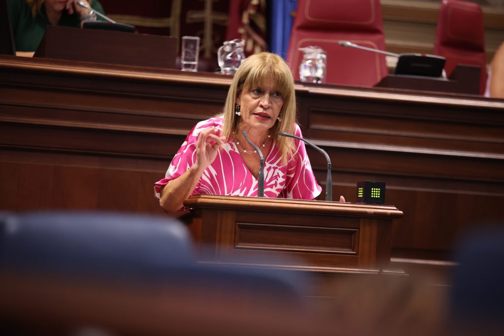 Esther Gonzalez en una intervención parlamentaria