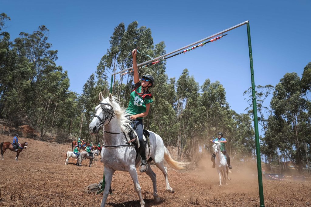 II Sortija de caballos de La Esperanza (1)