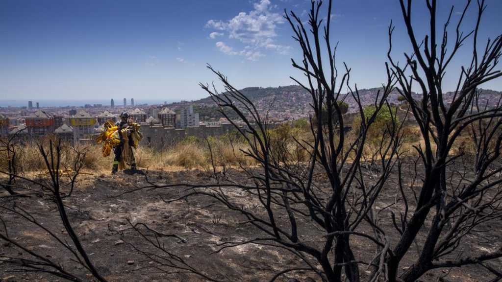 Cataluña anuncia una inversión de 80 millones en prevención de incendios y preservación