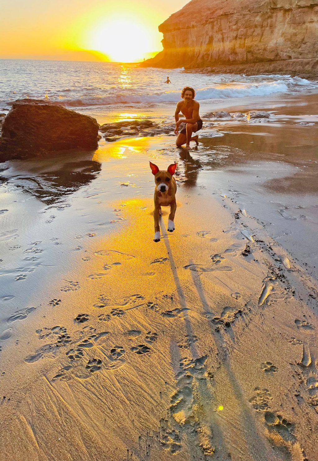 Último mes para participar en el concurso fotográfico sobre tenencia responsable de mascotas - Fotos 2023 (1)