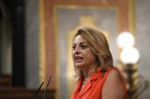 Cristina Valido en pleno Congreso