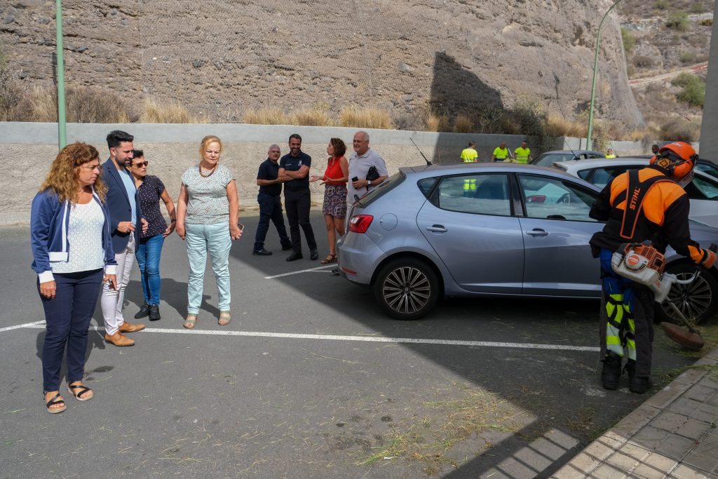 El Ayuntamiento continúa con la IV fase de las actuaciones conjuntas de Limpieza y Parques y Jardines en el barrio de El Lasso (3)