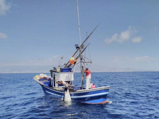 Excursiones en barcos de pesca artesanal en Tazacorte