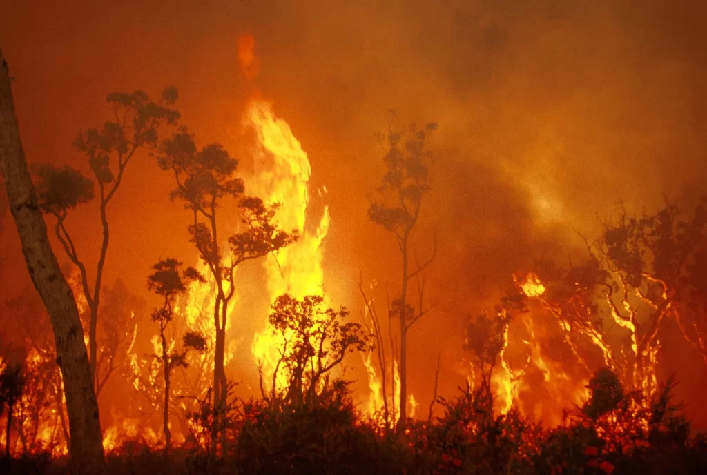 La crisis climática causará temporadas más largas de incendios en Australia, según informe