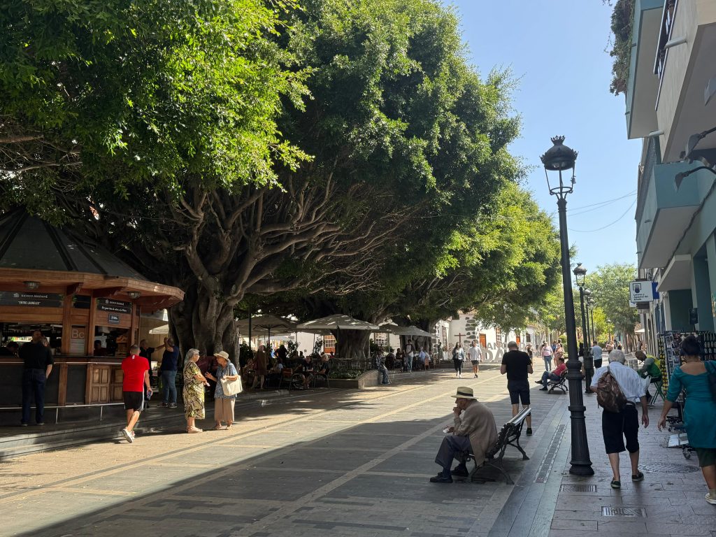 Zona Comercial Abierta Los Llanos de Aridane (1)