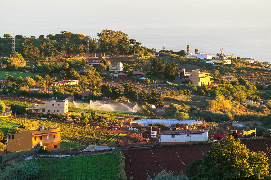 Zona agrícola de Santa Cristina, en las medianías guienses.