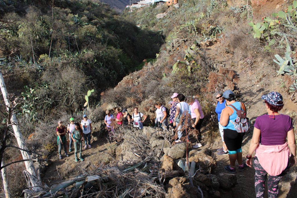 ruta senderismo Día Mujer Rural 15-10 (32)