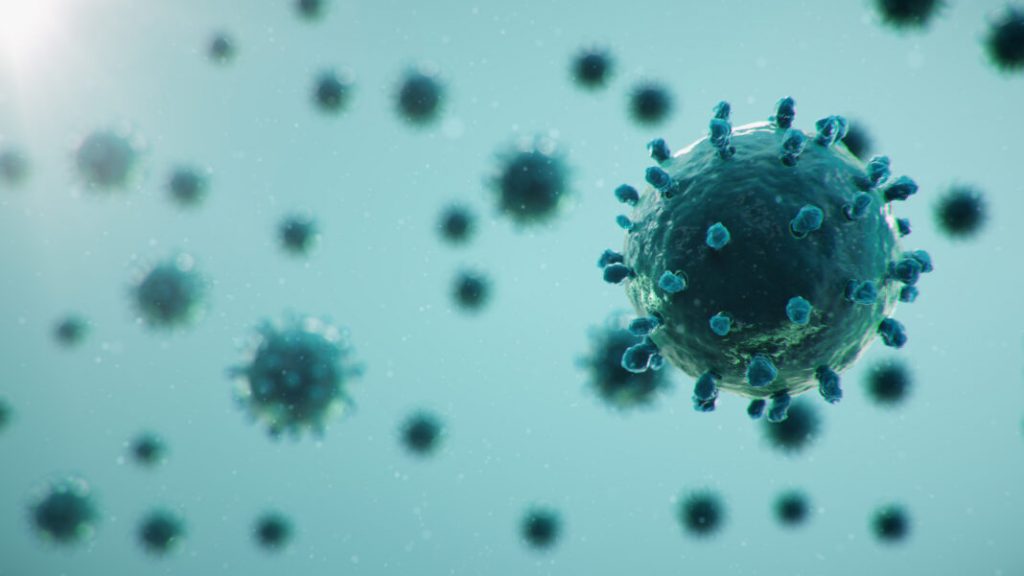 3D illustration outbreak coronavirus concept under the microscope. Spread of the virus within the human. Epidemic, pandemic affecting the respiratory tract. Fatal viral infection.