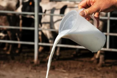 California suspende la distribución de leche cruda de su mayor productor por gripe aviar