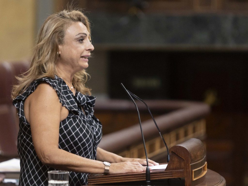 Cristina Valido en Congreso 240924