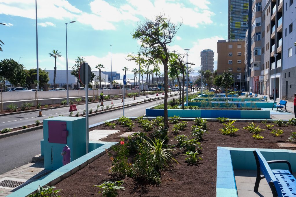 El Ayuntamiento finaliza el tramo 8 de la MetroGuagua entre Eduardo Benot y la terminal de Manuel Becerra (2)