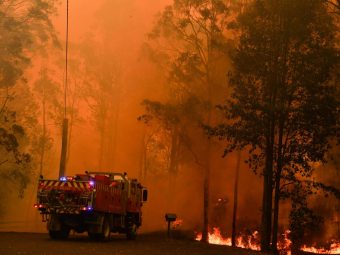 Los incendios forestales en Australia calcinan más de 700 kilómetros cuadrados de terreno