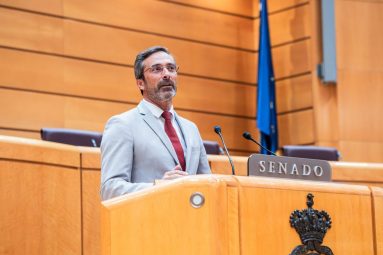 Pedro San Ginés en Senado Coalición Canaria