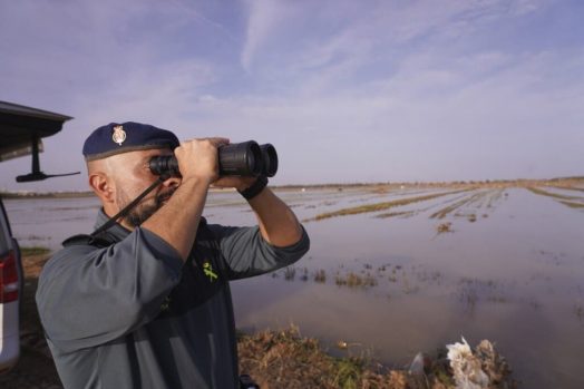 Registrados oficialmente 89 casos de desaparecidos activos por la dana en Valencia